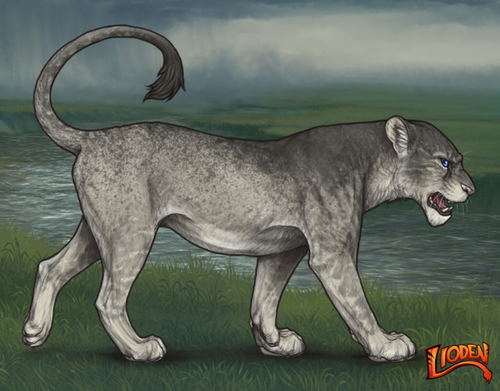 lioden wardrobe 2026 01 26T113611.405.png