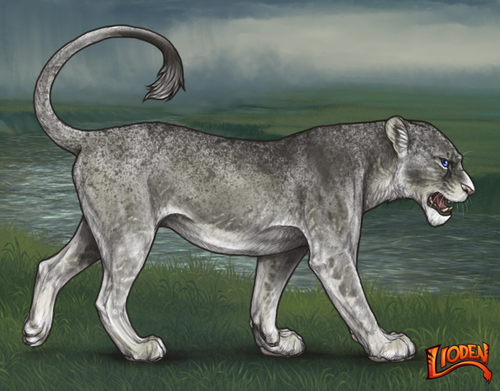 lioden wardrobe 2026 01 26T113634.708.png