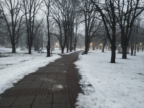 IMG 20260126 073352.jpg