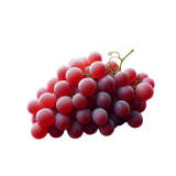 KD SpiritofdaVinci 41