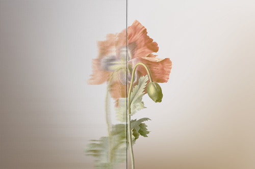 Nature background with flower behind patterned glass.jpg