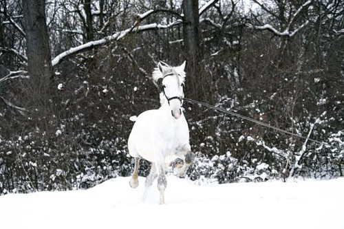 622792715 1217225847222967 3948170728385408151 n.jpg?stp=dst jpg s590x590 tt6& nc cat=101&ccb=1 7& n.jpg