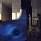 cat funny cat.gif