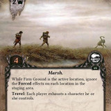 Firm Ground Front Face