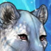 1000003726.png