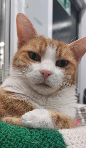 G h0M JWsAEyeuw?format=jpg.jpg