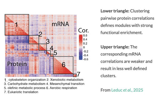 G mHlOhWIAAXDPH?format=jpg.jpg
