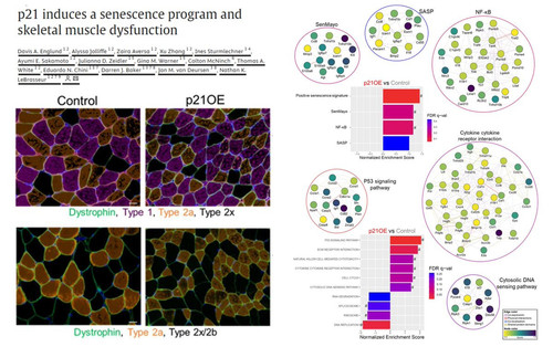 G iOJy WcAALGSd?format=jpg.jpg