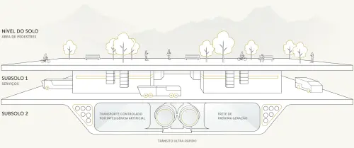 infografico niveis.webp