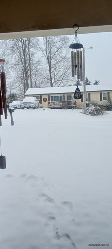 IMG 20260131 140923539 HDR.jpg