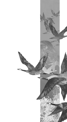0000939e689cc7825c41efd996b78fe4759e861151978 QgG4Yl fw1200webp.webp
