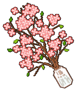 20260131 162154.gif