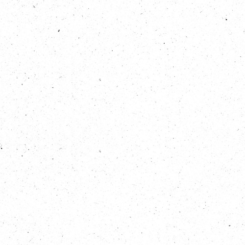 Image 1769847139385.jpg