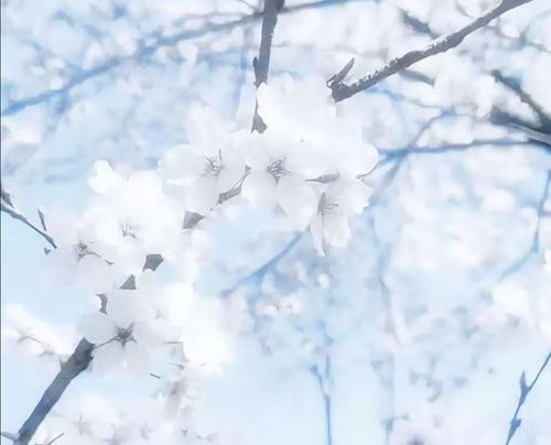 Screenshot 20260131 212017 com.xingin.xhs.png