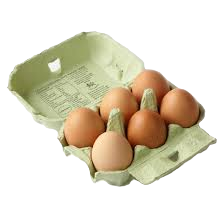 img egg 6.png