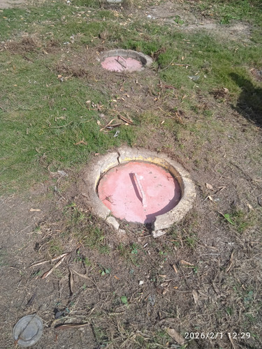 1769947525929.jpg