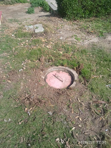 1769947525910.jpg