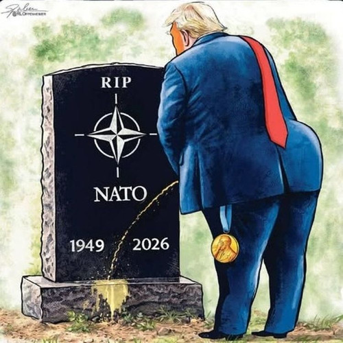 616369932 122121346731116566 248442904738221701 n.jpg