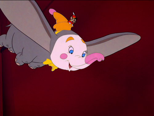 vlcsnap 2026 01 31 19h48m34s080.png