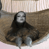 tumblr nas4b4rGTS1svi3flo1 400.gif