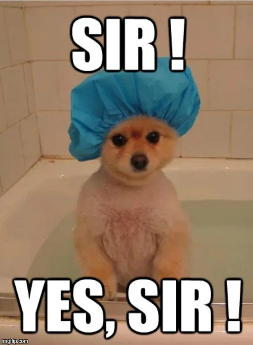 i.webp