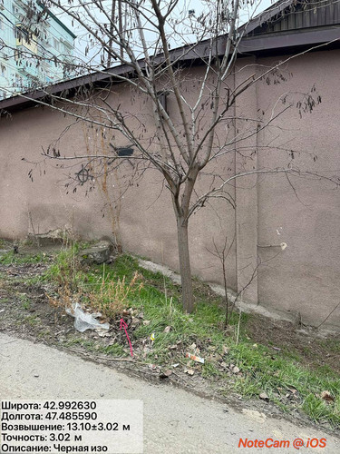 photo 3 2026 02 01 16 18 09.jpg