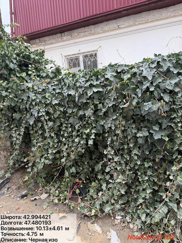 photo 5 2026 02 01 16 18 09.jpg