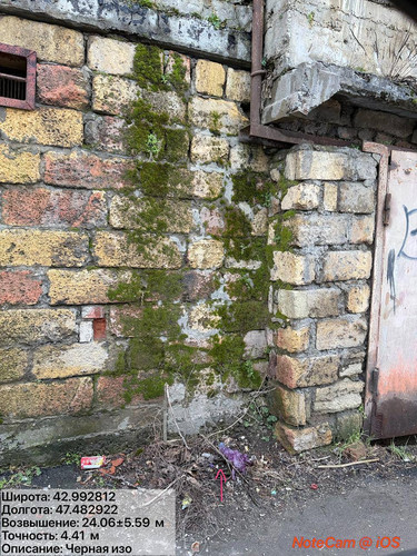 photo 13 2026 02 01 16 18 09.jpg