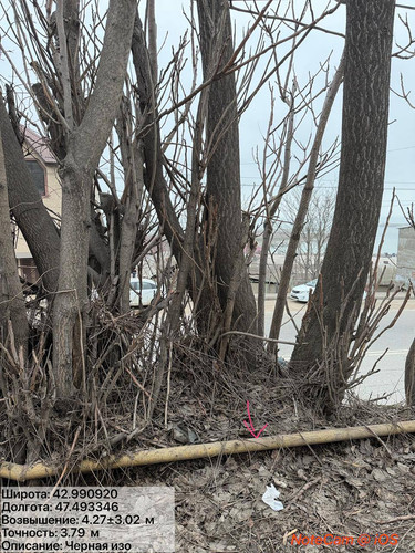 photo 8 2026 02 01 16 18 09.jpg