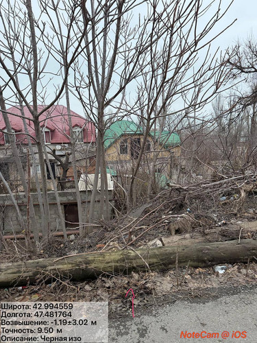 photo 6 2026 02 01 16 18 09.jpg