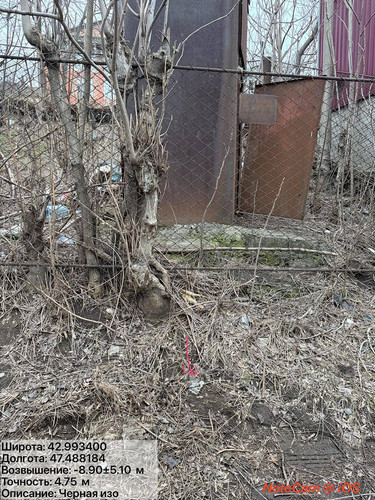 photo 15 2026 02 01 16 18 09.jpg