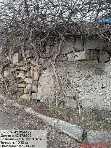 photo 18 2026 02 01 16 18 09.jpg