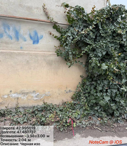 photo 16 2026 02 01 16 18 09.jpg