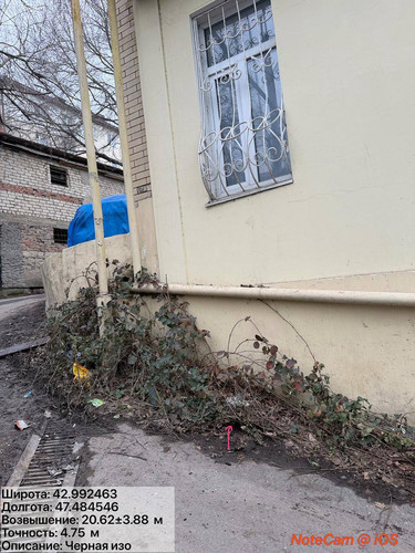 photo 17 2026 02 01 16 18 09.jpg