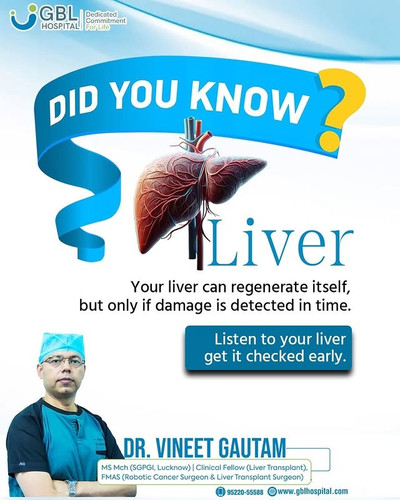 Did You Know Your Liver Can Heal—If Checked on Time.jpg