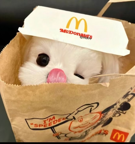 IMG 20260125 195245.jpg