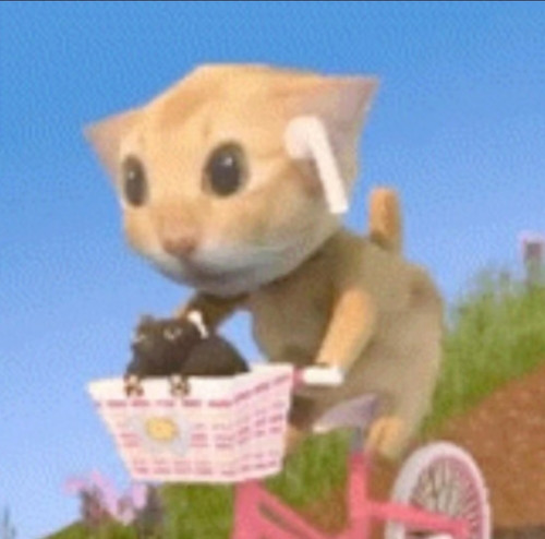 IMG 20260125 194844.jpg