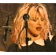 tumblr fd867e2848bf99fa5b22825187404c7a c4face7c 100.gif