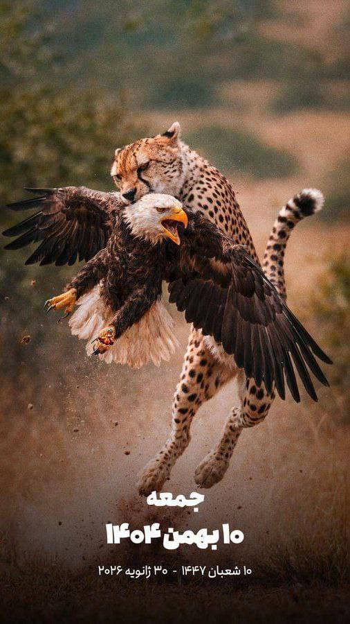 اختارت وكالة أنباء "فارس" الإيرانية صورةً مؤثرةً لإحياء ذكرى هذا اليوم: فهد آسيوي، رمز إيران الوطني، يفترس نسرًا أصلعًا يُمثل الولايات المتحدة....