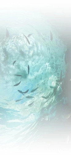 WeChat 薄荷曼波 1 沅沅沅 来自小红书网页版.jpg