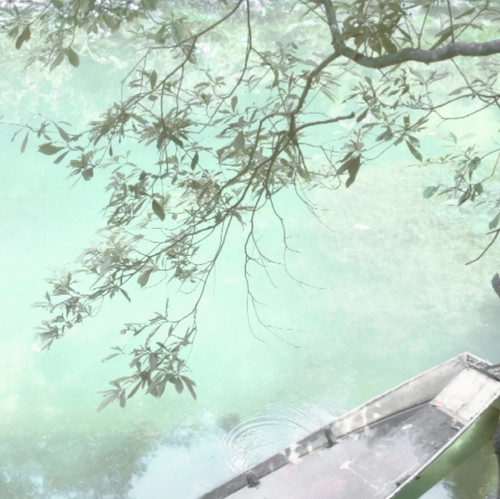 Loading... 1 一枝羊 来自小红书网页版.jpg