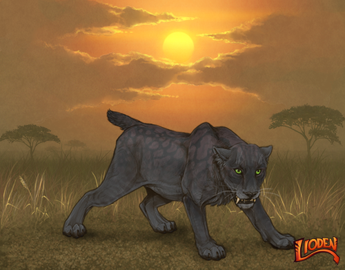 lion 794247277708.png