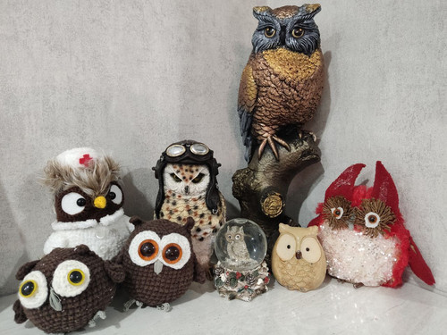 photo 2025 01 09 11 05 55.jpg