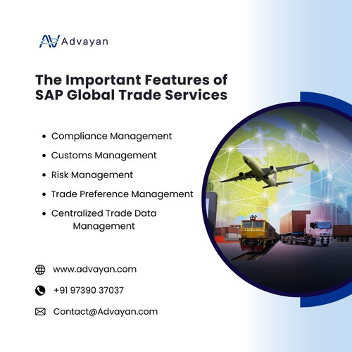 The Important Features of SAP Global Trade Services.jpg