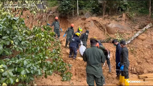 jafInzc41rt4cRz .jpg