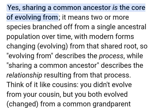 Screenshot 20251209 113757 Samsung Internet.jpg