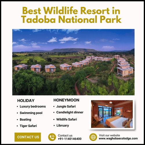 best wildlife resort in tadoba national park.jpg