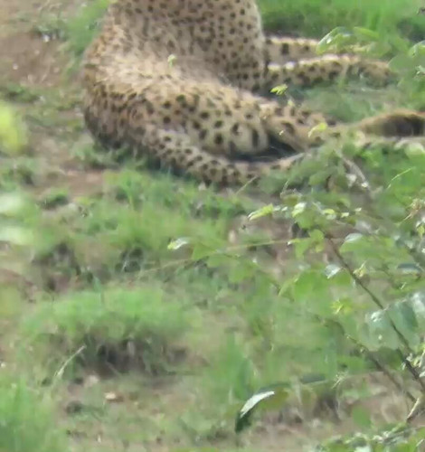 wrvunfyPAo S5VsL.jpg