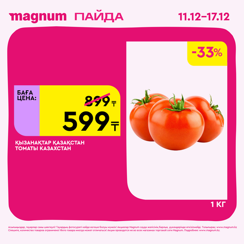 Magnum 1620x1620 1 tov 2025 12 10T180114.936.png