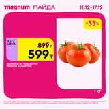Magnum 1620x1620 1 tov 2025 12 10T180114.936